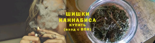 PSILOCYBIN Вязьма