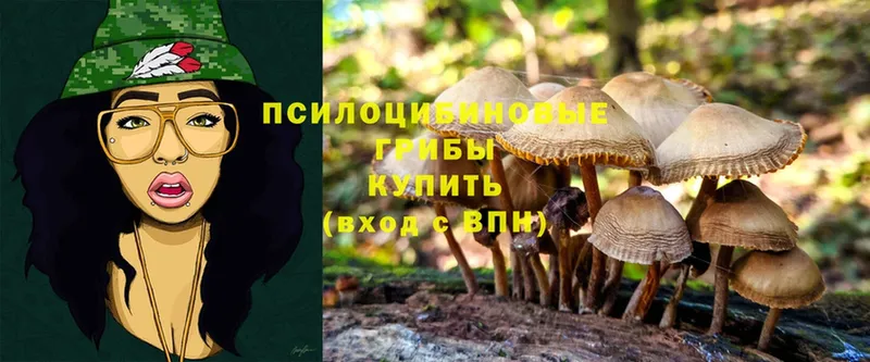 Псилоцибиновые грибы Magic Shrooms  shop Telegram  Апшеронск  купить наркоту 